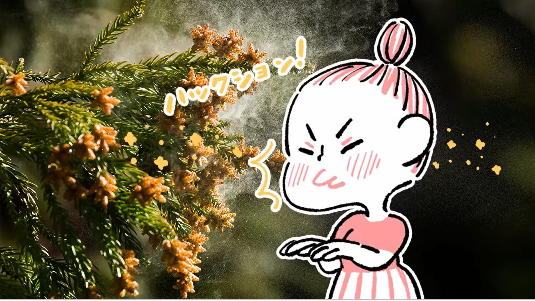 花粉症の予防方法